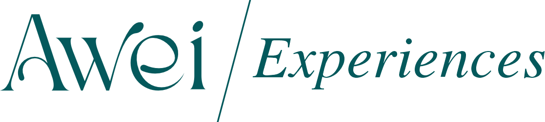 Awei | Experience